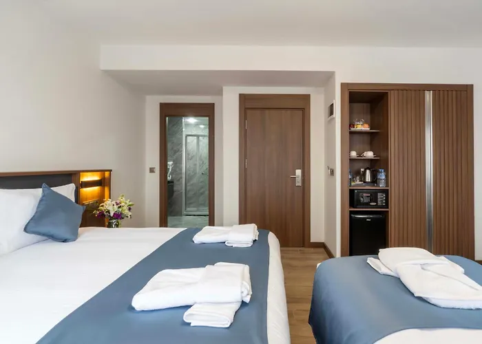 The Bosfor 3* Istanboel